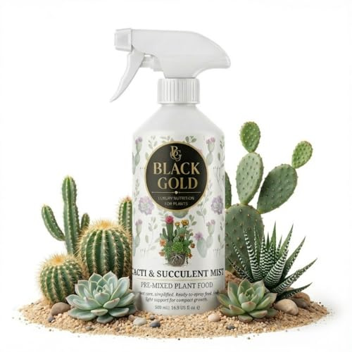 Black Gold Cactus & Succulent Feed Mist – Ready-to-Use Foliar Spray | Clean, Leaf-Safe Application | Supports Firm Roots, Rosette Structure & Predictable Care (500ml)