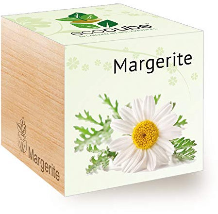 Feel 296398 Green Ecocube Margerite, Nachhaltige Geschenkidee (100% Eco Friendly), Grow Your Own/Anzuchtset, Pflanzen Im Holzwürfel, Made in Austria