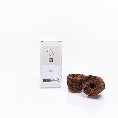 simplePlant, simpleCups, Dicke Ruben, 100% kompostierbare Wachstumsschwämme, Bio-Pflanzen für Hydroponisches Anzuchtsystem, 2 Pflanzen