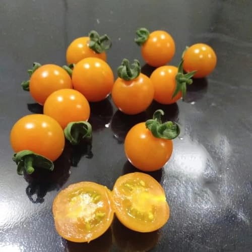 semillas de tomate grosella, balcón de invernadero de interior exóticas verdes de interior trepadoras resistentes 120pcs