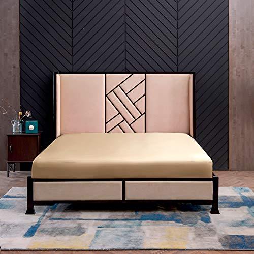 THXSILK Seide Spannbettlaken Spannbetttücher Seide Bettlaken 100% Maulbeerseide 19 Momme mit Rundumgummi (160x200+30cm, Champagner)