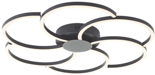 Lightbox LED Deckenlampe | Ø 65 cm | Wand- & Deckenleuchte in Blumenform | | LED Deckenlampe | Ø 65 cm | Wand- & Deckenleuchte in Blumenform | LED Profil Lampe in Blütenform | Alrounder für den jeden
