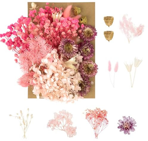 Dried Flowers, Pressed Flowers Dry Flowers Dried Flowers Crafts for Diy Arts Resin Scrapbooking Jewelry Making Floral Decorations（Pink）