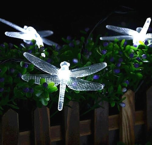 Flarion Dragonfly String Light 5M20LED Solar Fairy Tale Decorative Light IP65 Waterproof Birthday Party Wedding Indoor Bedroom Outdoor Home Garden Valentine's Day Decorations (Cool White)
