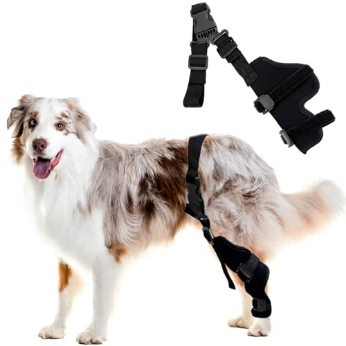 Colenumone Manicotto per gamba posteriore del cane, protezione universale per il recupero dell'articolazione sinistra o destra, traspirante, anti-leccare, per post-intervento chirurgico e guarigione