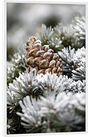 artboxONE Poster mit weißem Rahmen 45x30 cm Natur Winterlandschaft mit Tannenzapfen - Bild Winter beige Eiskristalle