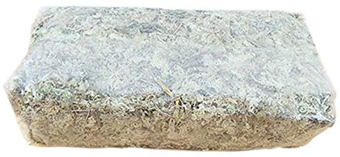 FIYSON Sphagnum Torfmoos,Orchideen Moos 6L Langfaser Sphagnum Moos, langlebiges Torfmoos Pflanzen- Wasser Gras Substrate für Den Hausgarten Phalaenopsis Orchideengartenbedarf