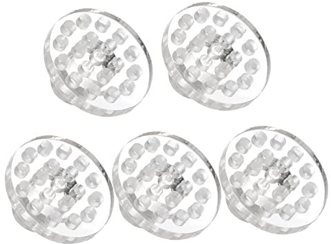 BCOATH 5stücke Korallenstützen Für Aquarien Transparent Runde Basis Für Korallenpflege Und Zucht Im Fischbecken Langlebig Und Leicht Einsetzbar