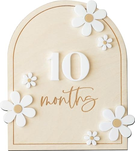 Daisy 3D baby månadsvis milstolpe, trä baby milstolpe skyltar, månatliga milstolpe träskivor, baby milstolpe skivor (tusensköna)