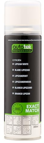 Autotek Professional Exact Match Car Spray Paint, Citroen Lipizan White Aerosol Spray, 300 ml