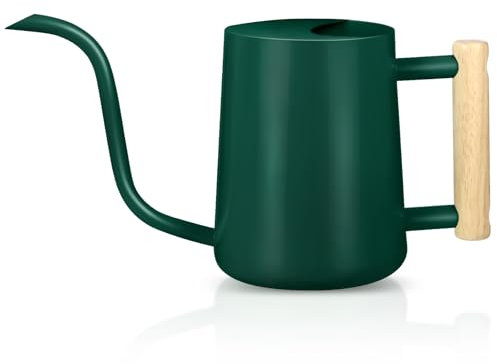 Alpine Green 35oz Stainless Steel Watering Can with Long Spout for Indoor Plants - Modern Decorative Metal Pot for Bonsai Garden Flowers