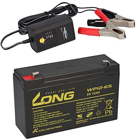 Batteria AGM al piombo, 6 V, 12 Ah, compatibile con veicoli per bambini, auto, bambini, quad, gel + caricatore