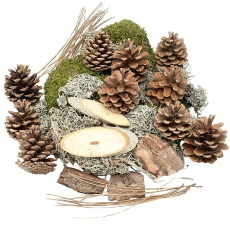 NaDeco Wald-Potpourri, Packung mit 450g mit Tannenzapfen, Baumrinde, Lappenmoos, Moosflechte, Kiefernnadeln und Holzscheiben | Herbstdeko-Mix | Naturdeko | Adventsdeko | Weihnachtsdekoration
