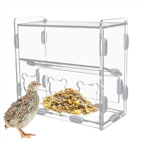 Bexdug Quail Feeding Box,Acrylic Food Feeding Container Automatic Dispense Box No Mess - Clear Food Dispenser Container For Finches, Canaries, Parakeets, Parrots