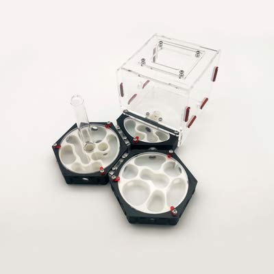 ANT GRAPE 3D-Druck hochwertige DIY Formicarium Ameisenfarm,Raumstation feuchtigkeitsspendende Idee Reptilien Terrarium Ameisen Bauernhaus (G)