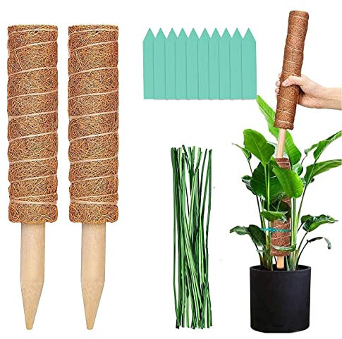 Rankhilfe Zimmerpflanzen Klein 2 Stück, Pflanzstab Monstera Verlängerbar, Moosstab Für Monstera, Rankstab Monstera, Rankhilfe Kokosstab, Rankhilfen Für Kletterpflanzen Innen Pflanzstäbe Efeutute