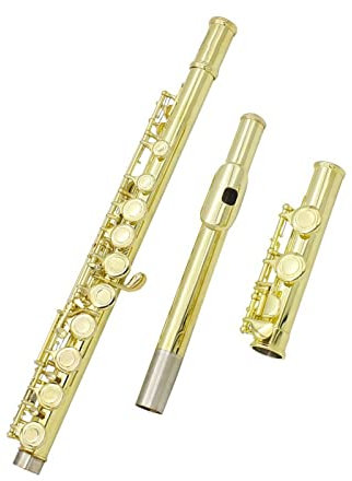 Golden Flute Leather Box Set 16 Closed Opening C Flute Instrument Horizontal Use E Key Box Cleaning Set Querflöte Anfänger