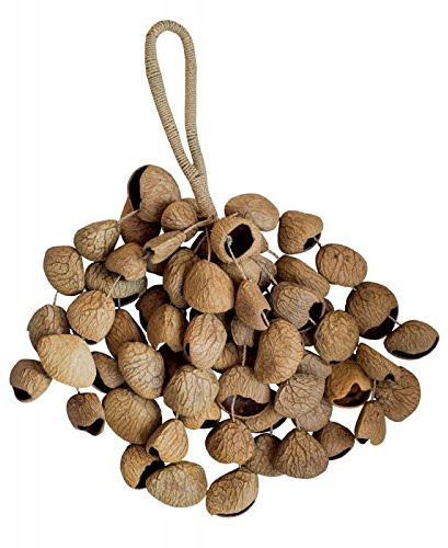 Terré Seedshaker XXL Pangi - Pangium seeds Shaker - MUSICAL_INSTRUMENTS