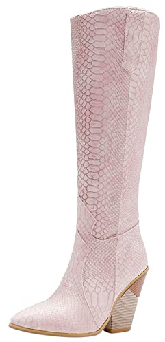 Lroey Reoly Stivali Alti Tacco Western Donna, Stivali da Cowboy Moda Zip Stivali Alti Tacco Alto Appuntito Stivali Invernali, Numero 34-48