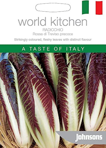 Johnsons World Kitchen Verdure Radicchio Rosso di Treviso Precocoe 50 semi:Seeds