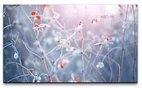 Paul Sinus Art Bilder XXL Winter Natur Hintergrund 120x70cm Wandbild auf Leinwand