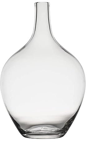 SXLSZ Handmade Glasvasen,Gärballon Glasvase Für Pampasgras,Transparente Ballon Vase Für Moderne Wohnkultur,Bodenvase Indoor Dekoration (Nur Vase),Durchsichtig,klein