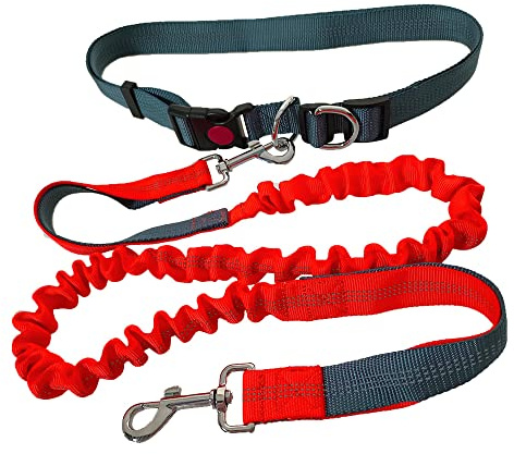 QitinDasen Guinzaglio Cani a Mani Libere, Cintura in Vita Regolabile Grigio e Guinzaglio Elastico Retrattile a Doppia Maniglia Arancione, Guinzaglio Cani Jogging con Cuciture Riflettenti