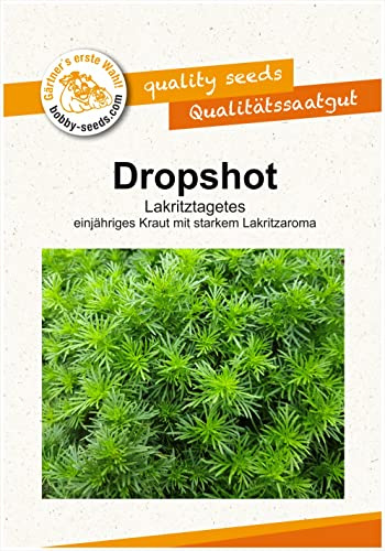 Kräutersamen Lakritztagetes Dropshot Portion