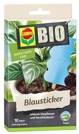 COMPO BIO, Trappole Cromotropiche Adesive, per Piccoli Insetti Volanti, 10 pezzi