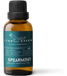 Ätherisches Bio-Öl aus grüner Minze, reines ätherisches Öl für Diffusor, Bio-Aromatherapie-Öl, spirituelles Erwachen, Kraftsteigerung und Selbstvertrauen, erfrischendes Aroma-Diffusoröl, Badeöl, 30 ml