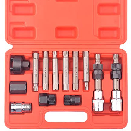 DAYUAN 13 Pc Alternator Freewheel Pulley Car Garage Tool Kit Hex Spline Star Bits