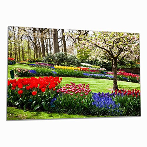 Wallario Herdabdeckplatte/Spritzschutz aus Glas, 1-teilig, 80x52cm mit 13 mm hohen Füßen, für Ceran- und Induktionsherde, Bunte Blumen und Kirsch-Baum im Park blühen im Frühling