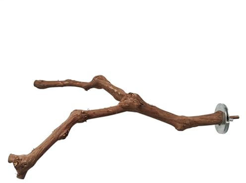 Barche en bois de raisin - Vigne - Barches - Pièces d'assise naturelles - Support de cage à oiseaux uniquement - Branches en graphène - Branches en bois - Branches en bois - Publicité - Perches