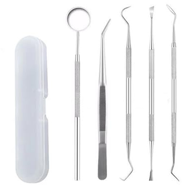 GAJUS Set da 5 Strumenti Professionali per Igiene Dentale, Rimozione Placca e Tartaro con Kit Pulizia e Sbiancamento Denti in Acciaio Inossidabile per Cura Dentale Domestica