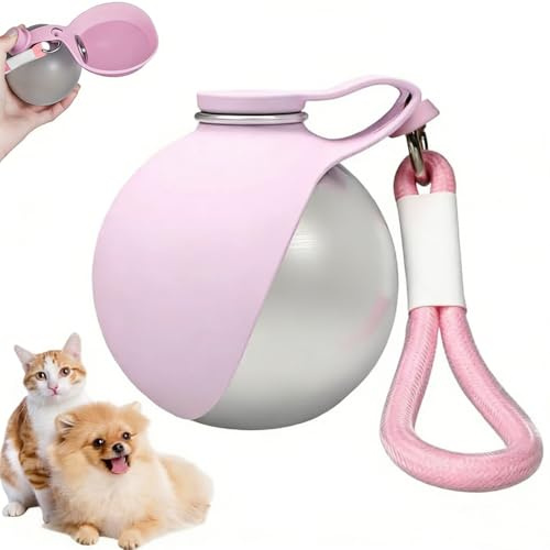 RuiDay Gourde Chien Portable, 285ML Bouteille d'eau 2 en 1 Pliable avec Gamelle Eau en Silicone pour Petit Chien, Anti-Fuite, Promenade, Voyage et Randonnée