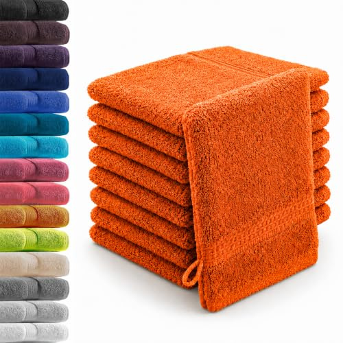 10er Set Waschhandschuhe Waschlappen Terra 16x21 cm | 100% Baumwolle Frottier | Oeko-TEX® Standard 100 | Premium Qualität 500 g/m²