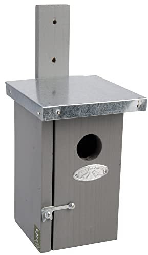 4 Stück Rivanto® Nistkasten Zaunkönig mit Zinkdach 14 x 11 x H25 cm, Vogelhaus grau mit Türchen