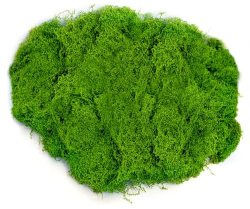 QHSXMQ 100g Green Fake Lichen for Indoor and Outdoor Plant Pots, Home, Garden, and Patio Decoration