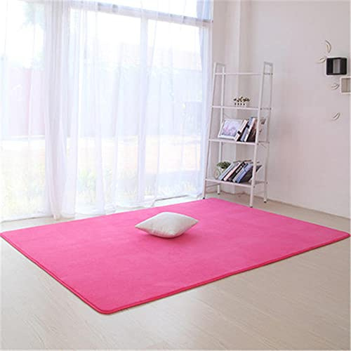 Alfombra de Terciopelo Coral Grueso de Color sólido Calidad Rosa oscuro Suave Lavable Antideslizante Grande Rugs Rug Minimalista Moderna Sala De Estar Dormitorio Tatami Gateando Estera -60×90cm
