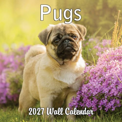Calendario mensile da parete 2025 con carlini, 30,5 x 61 cm, carta spessa e robusta, calendario 2025 con cani
