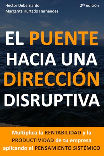 El puente hacia una dirección disruptiva: Multiplica la rentabilidad y la productividad de tu empresa aplicando el pensamiento sistémico