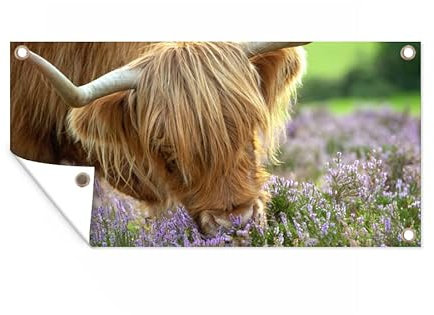 MuchoWow Outdoor-Poster Poster Wanddeko draußen Deko Garten Gartenposter 160x80 cm Schottische Highlander - Gras - Heidekraut - Tiere