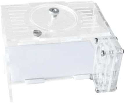 Gralara Fattoria di formiche fai da te, nido di formiche rettangolare, strumento per l'allevamento delle formiche, giocattolo educativo, castello agricolo