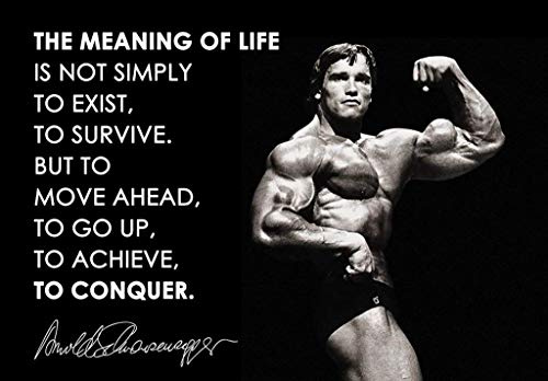 Poster Poster Arnold Schwarzenegger Inspirierendes Zitat The Meaning of Life Englisch