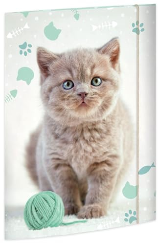 RNKVERLAG Ritmapp Kitty 320 x 430 mm, för format upp till DIN A3 med gummistängning, 1 styck