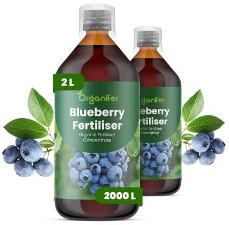 Fertilizante líquido para arándanos 2x1L – Fertilizante orgánico para arbustos sanos y frutos abundantes – Favorece raíces y vitalidad – Organifer