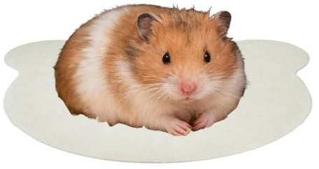 Generico Tappetino di Raffreddamento per Criceti, Piastra in Alluminio da 8,5x7,5 Cm | Estivo per Piccoli Animali, Prevenzione del Colpo di Calore da 80 G per Riccio, Porcellino D', Conigl