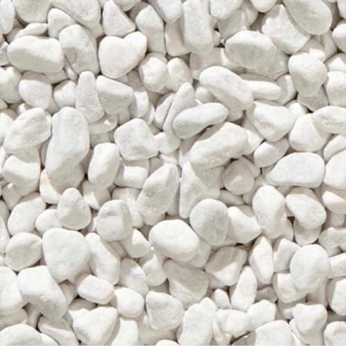 EffeDecor - Ciottoli Bianchi da Giardino 20 Kg Sassi Sassolini Decorativi per Vasi,Acquario,Vialetti,Aiuole e Interni (Bianco, Granulometria 25/40 mm)