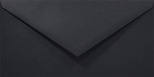 Netuno 100 Kartenumschläge Schwarz DIN lang 11x22 cm klassisch und stilvoll | 80g Rainbow · feine schwarzfarbene Umschläge Farbpapier für Halloween, elegante Feiern & Einladungen