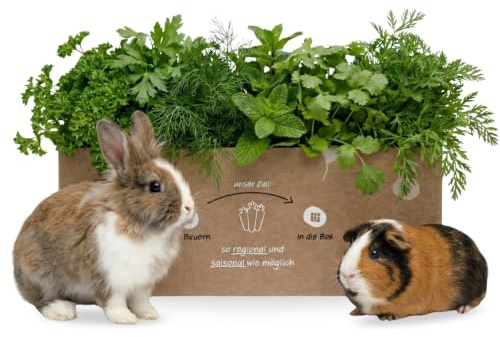 Mümmel-Mix Kleintierbox 5 kg - Knollenliebe Kräuter-Frischfutter | Aromatische Kräuterauswahl, natürlich frisch – für Kaninchen, Meerschweinchen & Co.